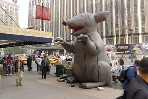 giant rat